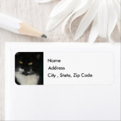 白黒猫差出人住所ラベル ラベル (インサイチュ)