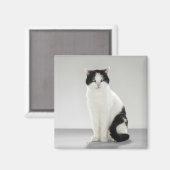 白黒猫白熱［赤熱］光を放つと緑 マグネット (正面/裏面)