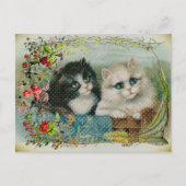 白黒猫縁どフローラ シーズンポストカード (正面)