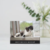 白黒猫誕生日葉書 ポストカード (スタンド正面)