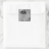 白黒猫顔 スクエアシール (バッグ)