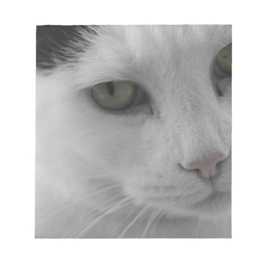 白黒猫顔 ノートパッド (正面)