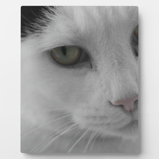 白黒猫顔 フォトプラーク (正面)