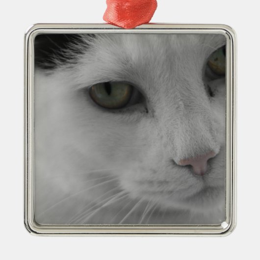 白黒猫顔 メタルオーナメント (正面)