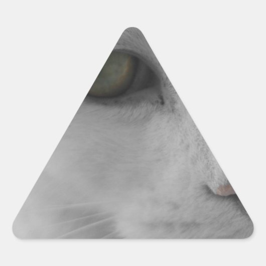 白黒猫顔 三角形シール (正面)