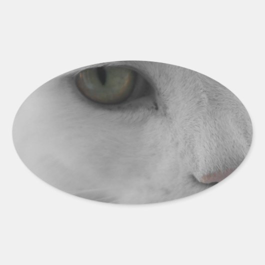 白黒猫顔 楕円形シール (正面)