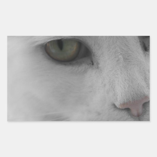 白黒猫顔 長方形シール (正面)