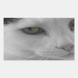 白黒猫顔 長方形シール
