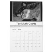 白黒猫 カレンダー (1月 2026)