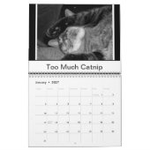 白黒猫 カレンダー (1月 2027)