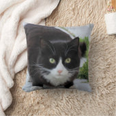 白黒猫 クッション (ブランケット)