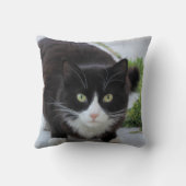 白黒猫 クッション (裏面)