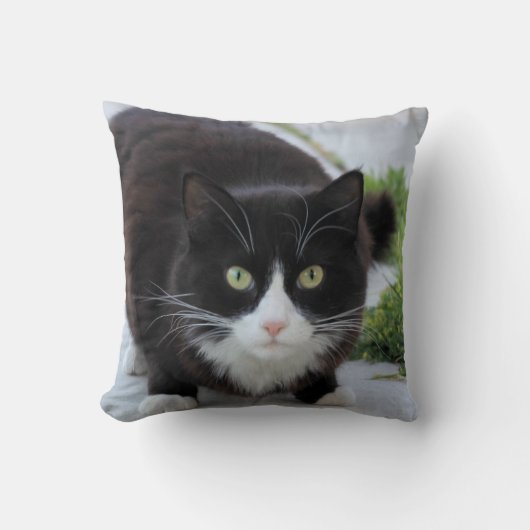 白黒猫 クッション (正面)
