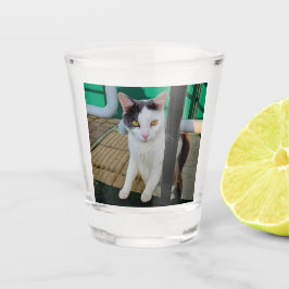 白黒猫 ショットグラス