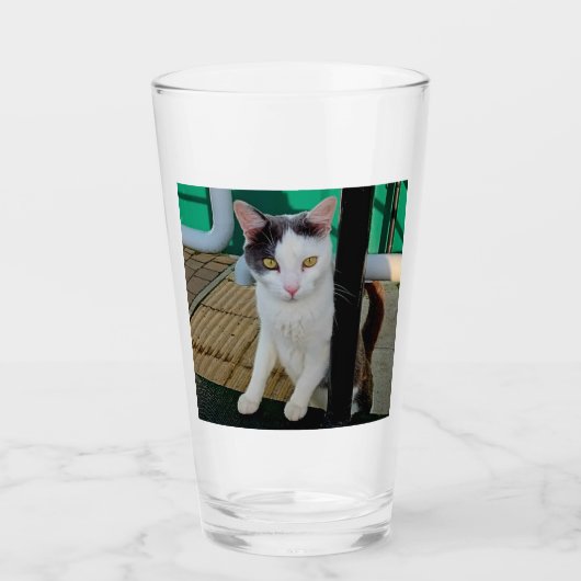 白黒猫 タンブラーグラス (正面)