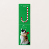 白黒猫&トナカイのクリスマストイカード (外部フラット)