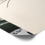 白黒猫 ポスター (角)