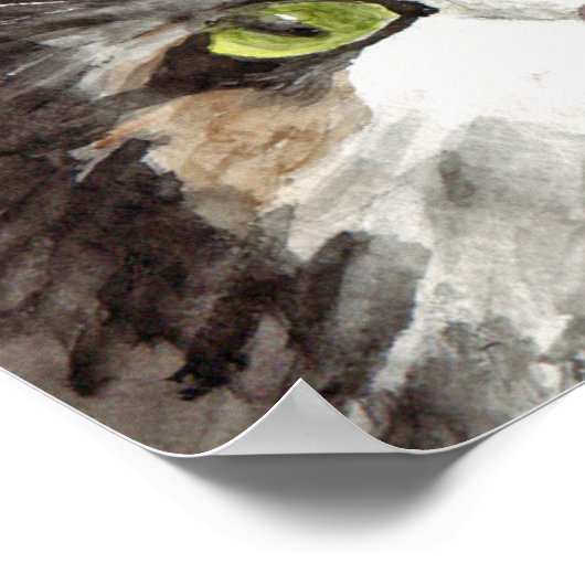 白黒猫 ポスター (角)