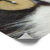 白黒猫 ポスター (角)