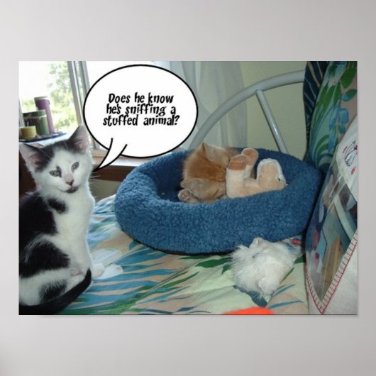 白黒猫 ポスター (正面)