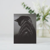 白黒猫 ポストカード (スタンド正面)