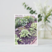 白黒猫 ポストカード (スタンド正面)