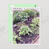 白黒猫 ポストカード (正面/裏面)