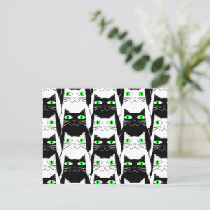 白黒猫 ポストカード