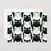 白黒猫 ポストカード (正面/裏面)