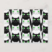 白黒猫 ポストカード (正面)
