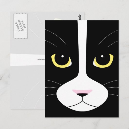 白黒猫 ポストカード (正面/裏面)