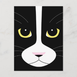 白黒猫 ポストカード