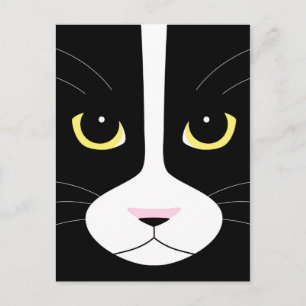 白黒猫 ポストカード