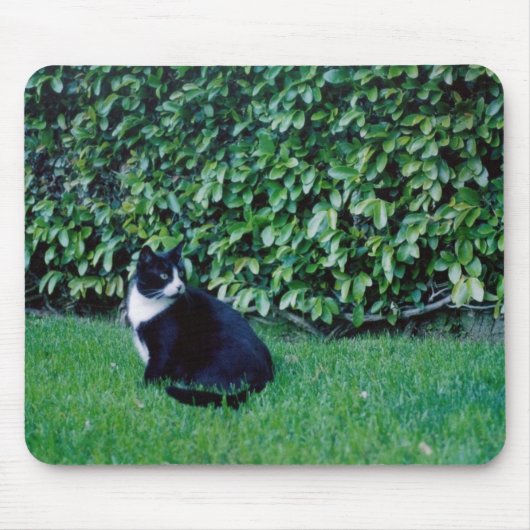 白黒猫 マウスパッド (正面)