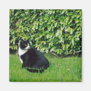白黒猫 マグネット