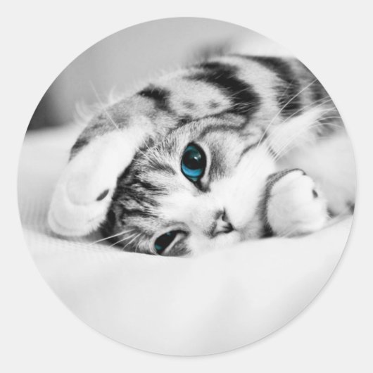 白黒猫 ラウンドシール (正面)