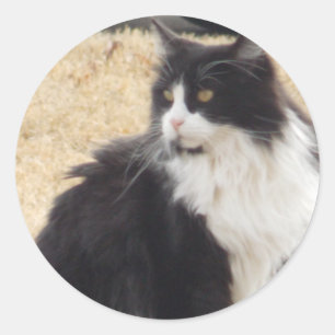 白黒猫 ラウンドシール