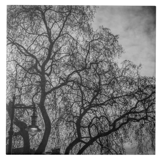 白黒瓦の木 タイル (正面)