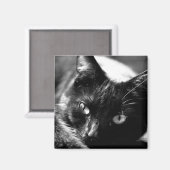 白黒磁石の猫 マグネット (正面/裏面)