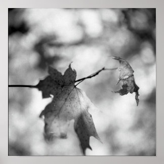 白黒秋ワンダーランドポスター ポスター