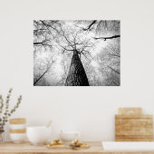 白黒秋葉樹林 ポスター (キッチン)