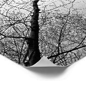 白黒秋葉樹林 ポスター (角)