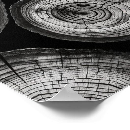 白黒素晴らしの木のリングや輪アートプリント ポスター (角)