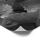 白黒紫陽花 ポスター (角)