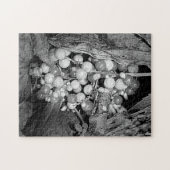 白黒自然の果実 ジグソーパズル (横)