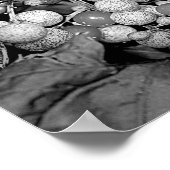 白黒自然の果実 ポスター (角)