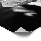 白黒花の写真 ポスター (角)