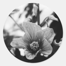 白黒花の写真 ラウンドシール