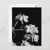 白黒花はがき ポストカード (正面/裏面)