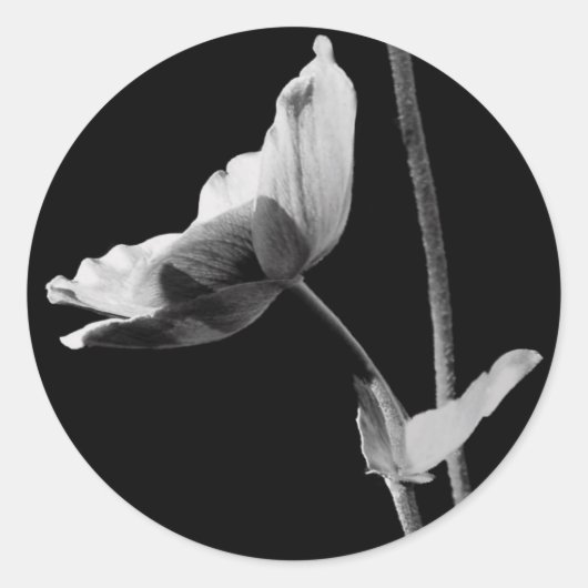 白黒花シール ラウンドシール (正面)